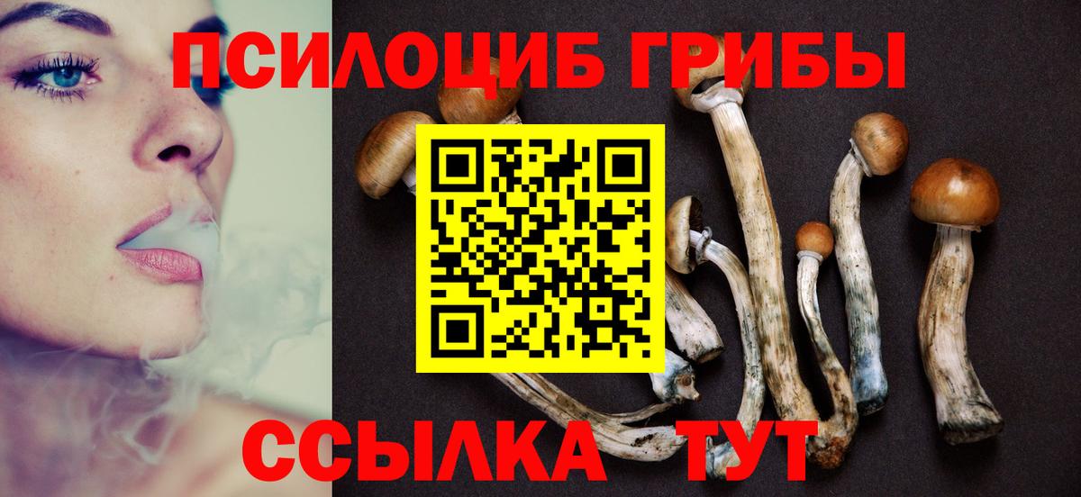 Псилоцибиновые грибы мицелий Шали