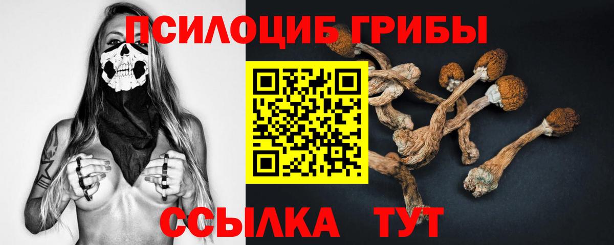 Галлюциногенные грибы мухоморы  Вход с VPN  Галлюциногенные грибы мухоморы  Шали 